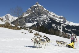 Kandersteg 2011