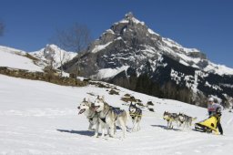 Kandersteg 2011