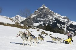 Kandersteg 2011