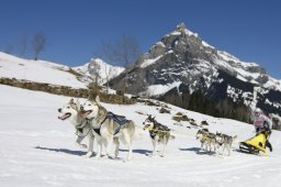 Kandersteg 2011