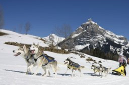 Kandersteg 2011