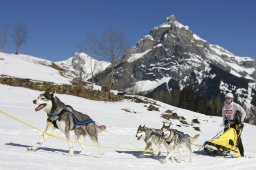 Kandersteg 2011