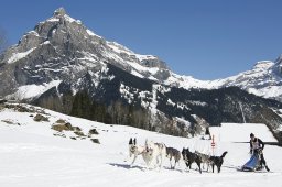 Kandersteg 2011