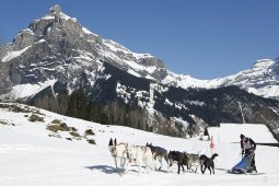 Kandersteg 2011