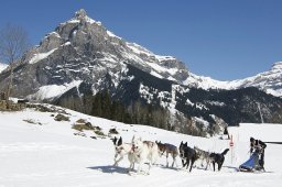 Kandersteg 2011