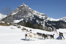 Kandersteg 2011