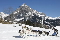 Kandersteg 2011