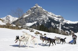 Kandersteg 2011