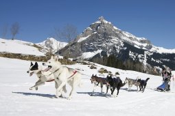 Kandersteg 2011