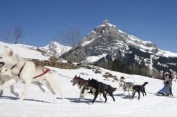 Kandersteg 2011