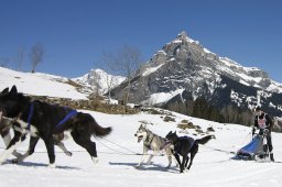 Kandersteg 2011