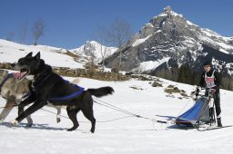 Kandersteg 2011