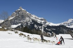 Kandersteg 2011