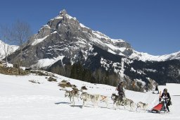 Kandersteg 2011