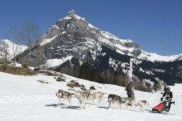 Kandersteg 2011