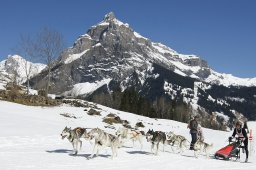 Kandersteg 2011