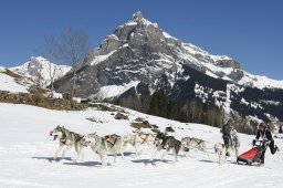 Kandersteg 2011