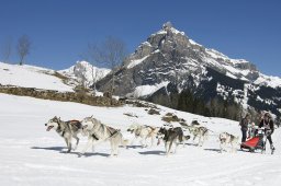 Kandersteg 2011