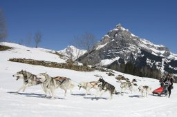 Kandersteg 2011