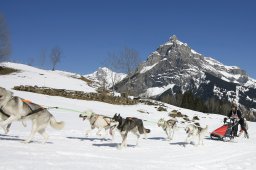 Kandersteg 2011