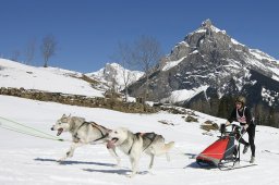 Kandersteg 2011