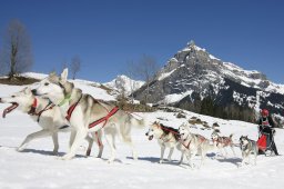 Kandersteg 2011