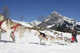 Kandersteg 2011