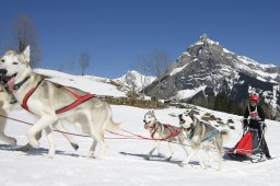 Kandersteg 2011