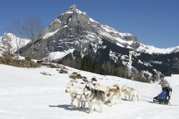 Kandersteg 2011