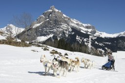 Kandersteg 2011