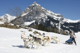 Kandersteg 2011