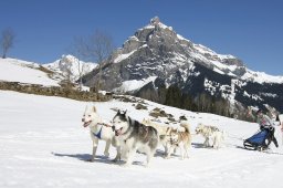 Kandersteg 2011