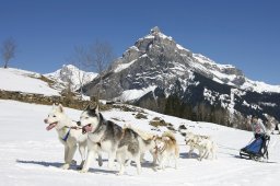 Kandersteg 2011