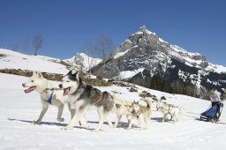 Kandersteg 2011