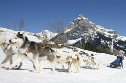 Kandersteg 2011