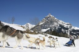 Kandersteg 2011