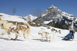 Kandersteg 2011