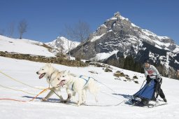 Kandersteg 2011