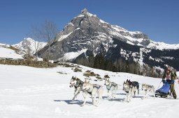 Kandersteg 2011