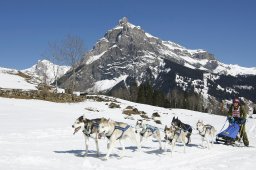 Kandersteg 2011