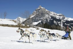 Kandersteg 2011