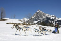 Kandersteg 2011