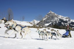 Kandersteg 2011