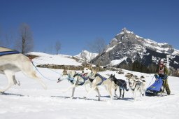 Kandersteg 2011