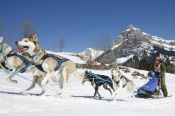 Kandersteg 2011