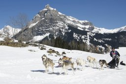 Kandersteg 2011