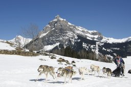 Kandersteg 2011