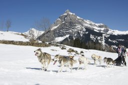 Kandersteg 2011