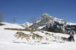 Kandersteg 2011