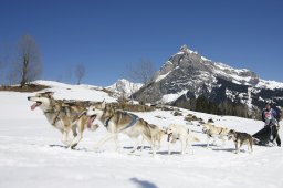 Kandersteg 2011